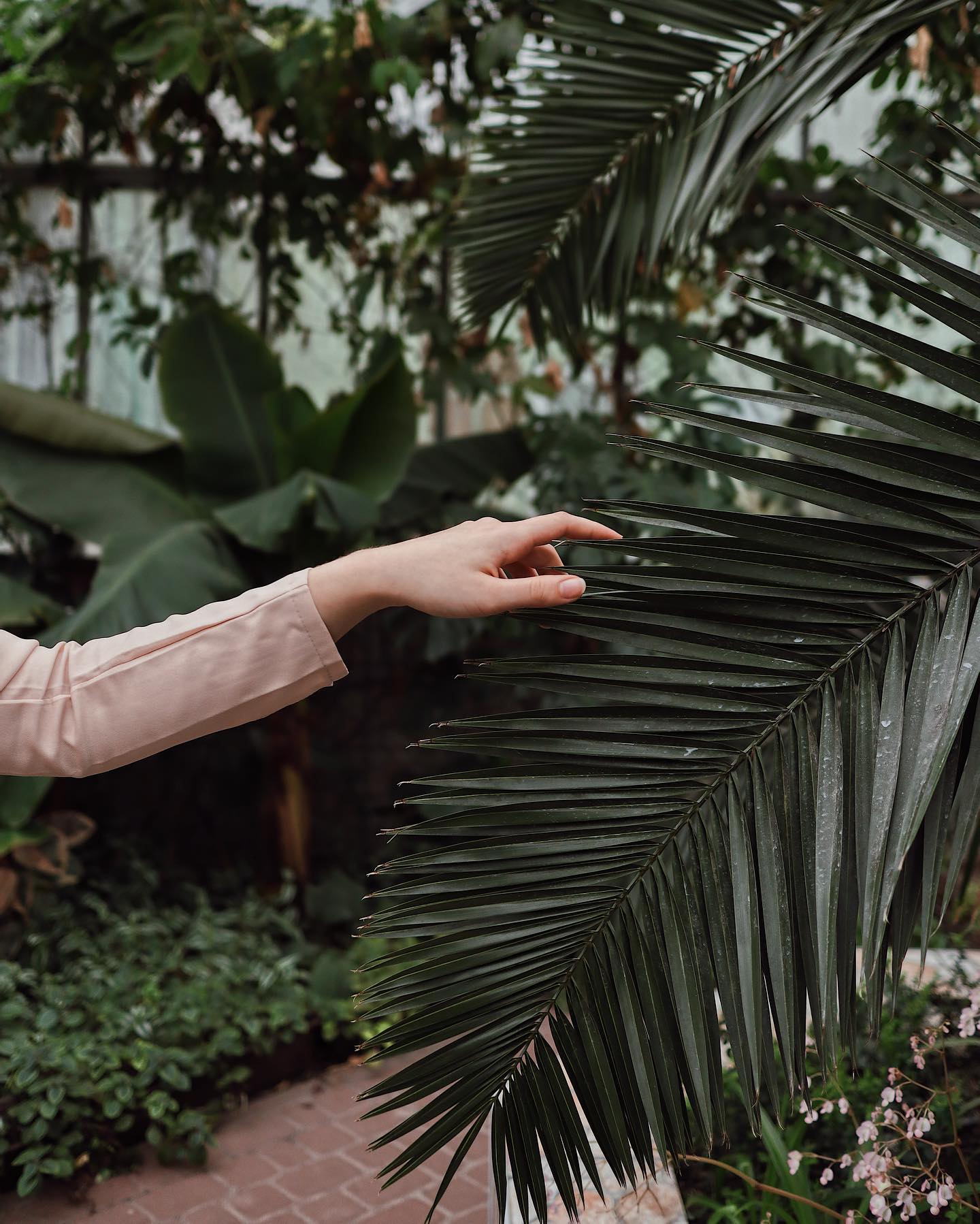 Portrait of Maria, photo 152 of 161