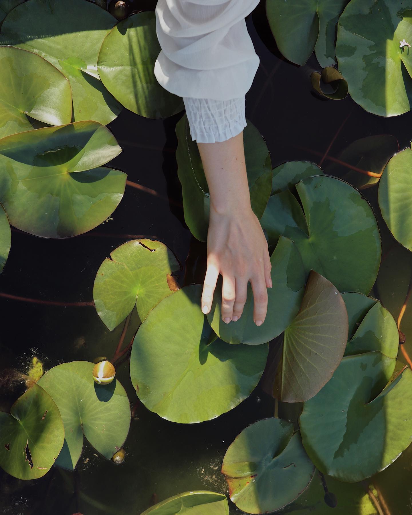 Portrait of Maria, photo 156 of 161