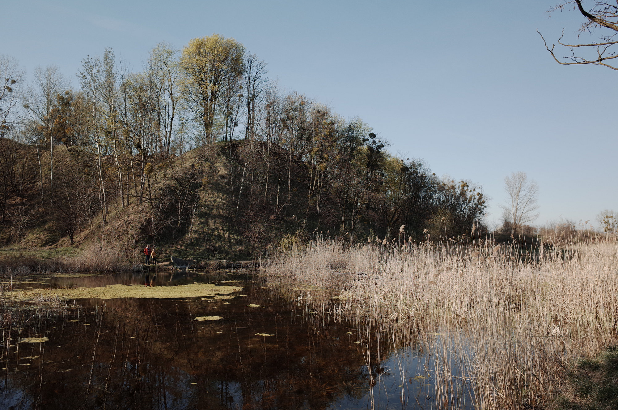 Lake - Ricoh GR II, photo 3