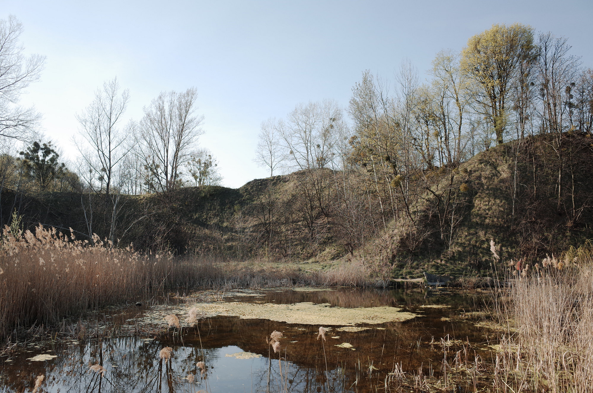 Lake - Ricoh GR II, photo 6