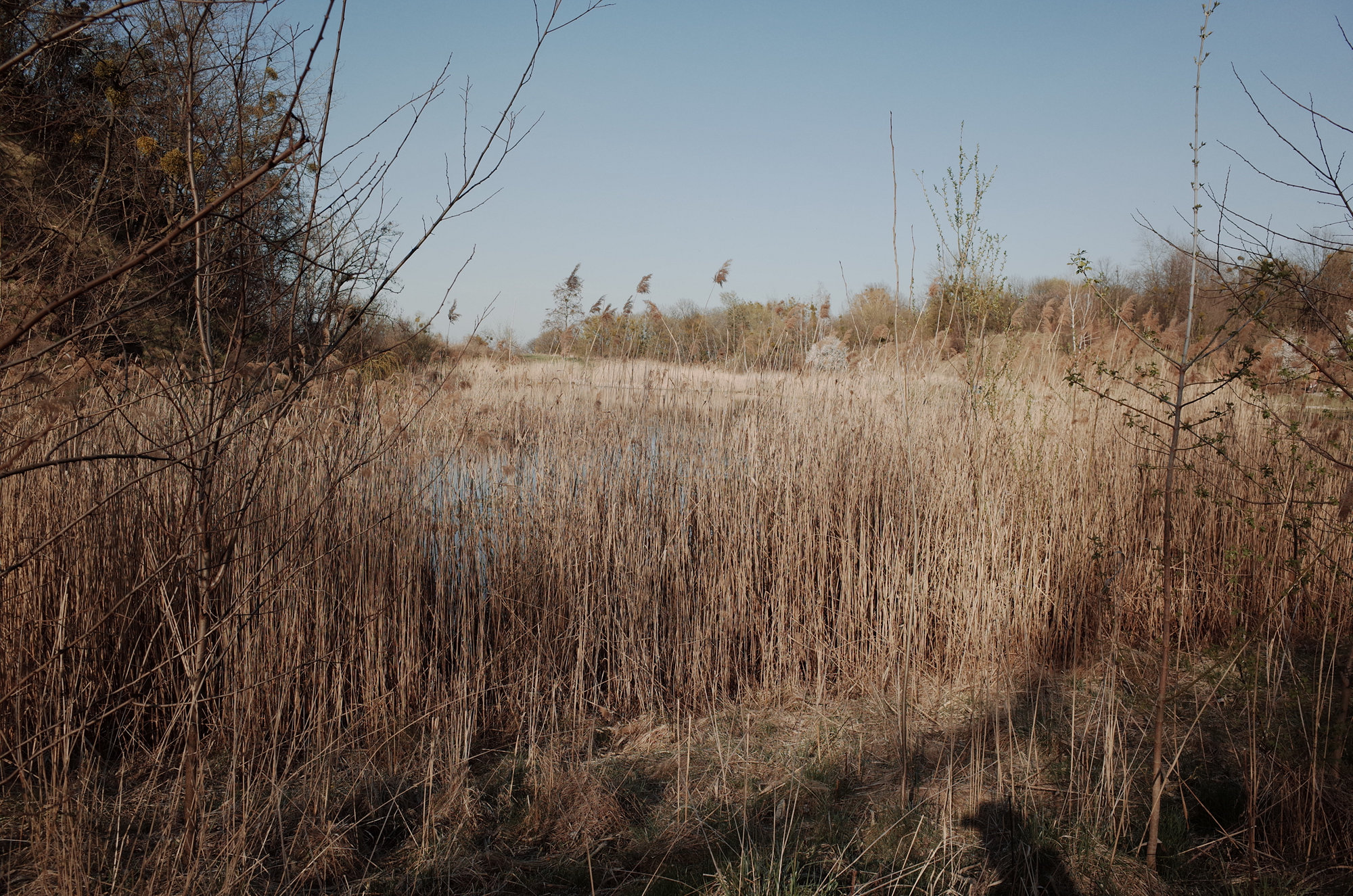 Lake - Ricoh GR II, photo 2