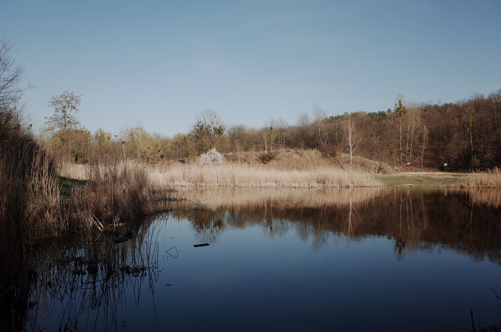 Lake - Ricoh GR II, photo 5