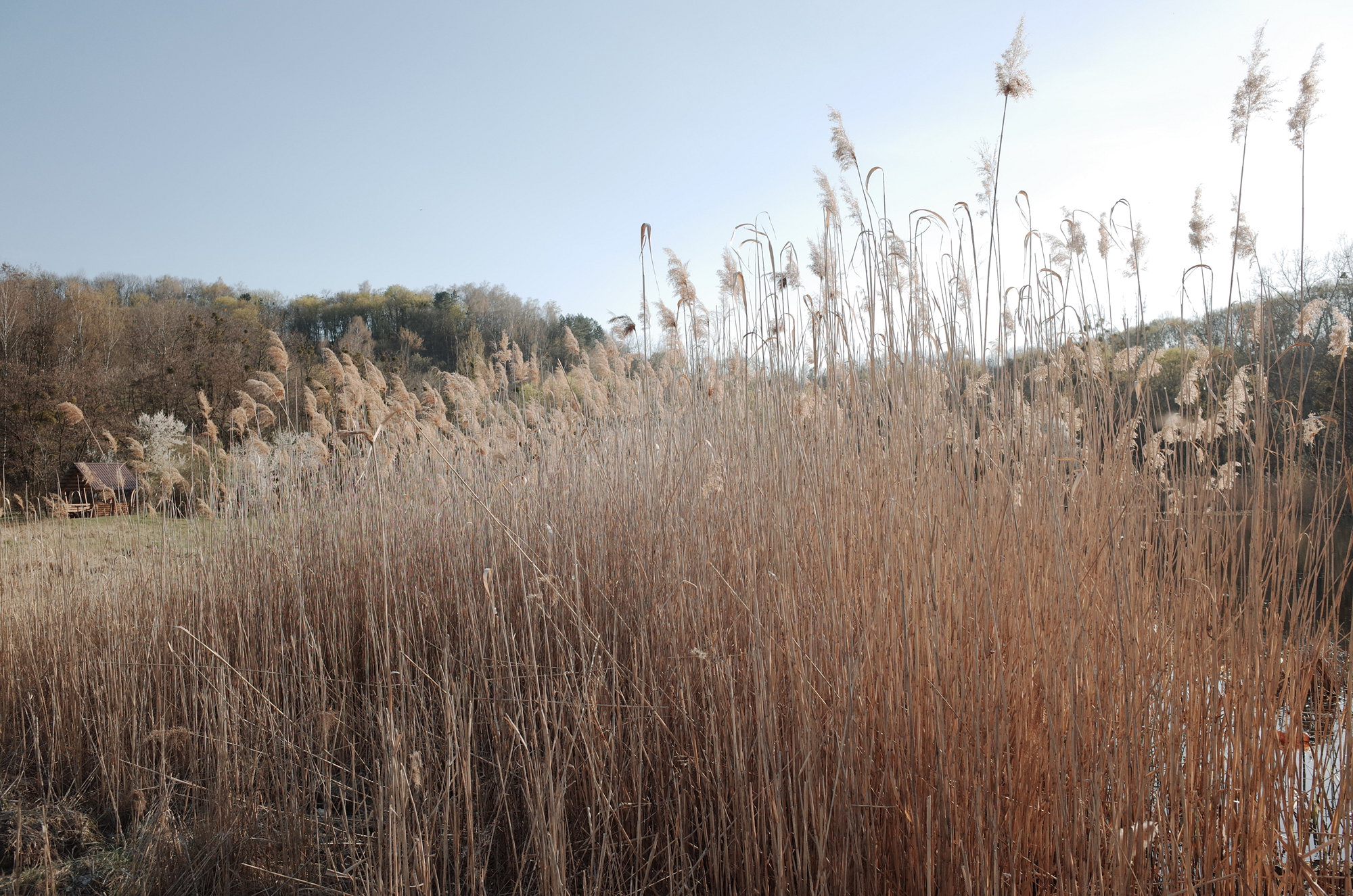 Lake - Ricoh GR II, photo 12